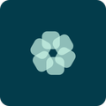Smart Launcher