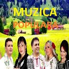 Muzică Populară in Română icône