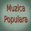 Muzica Populara de Petrecere ikona