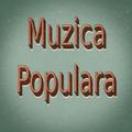 Muzica Populara de Petrecere