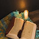 The Noble Quran Telugu aplikacja