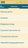 Лесные цветы syot layar 1