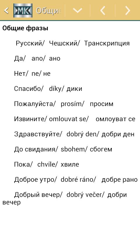 Как переводится с чешского. Основные фразы на чешском. Чешский разговорник для начинающих. Чешский язык фразы. Чешский язык слова.