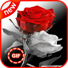 Beautiful flowers and roses Gif Collection icône