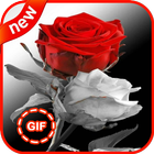 Beautiful flowers and roses Gif Collection آئیکن