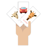 Doman Cards icon