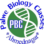 Palwe Biology Classes