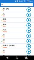 2 Schermata Chinese Words with Audio HSK1