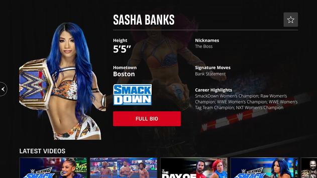 WWE 截图 10