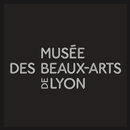 MBA, Musée des Beaux-Arts Lyon APK