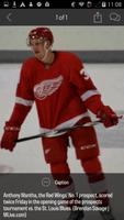 MLive.com: Red Wings News 截圖 2