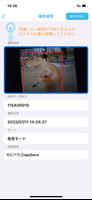 おとるーぺ screenshot 2