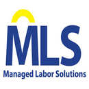 MLS Productivity APK