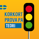 Ta Körkort - Prova på APK