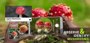Mushroom identifier App by Photo, Camera 2021