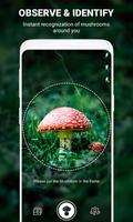 Pilz Kennung App durch Foto, Kamera 2021 Plakat