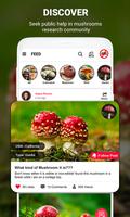 Pilz Kennung App durch Foto, Kamera 2021 Screenshot 1