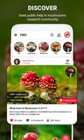 Grzyb identyfikator app przez fotka, kamera 2021 screenshot 1