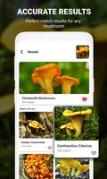 Mushroom identifier App by Photo, Camera 2021 screenshot 3