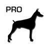 TOUGHDOG Connect APK