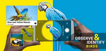 Birds Identifier App by Photo