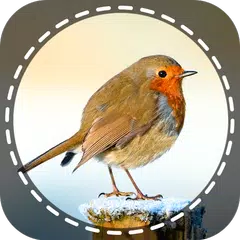 Vögel Identifikator