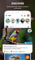 Birds Identifier screenshot 3