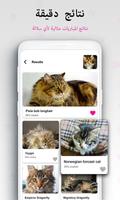 مُعرف سلالة Cat: Cat ، Cat ماس تصوير الشاشة 3