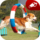 آیکون‌ Puppy Training: Perfect Dog Tr