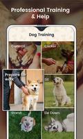 Yavru köpek antreman: köpek eğ Ekran Görüntüsü 1