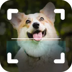 Dog Breed Identifier Photo Cam XAPK download