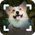 Dog Breed Identifier Photo Cam icon