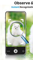 Dog Breed Identifier Photo Cam poster