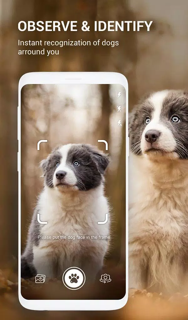 Hundebuch: Rasse Kennung, Hund Scanner, Foto-App für Android - APK  herunterladen