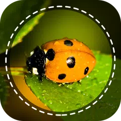 download Insect identifier by Photo Cam XAPK