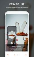 Insect identifier by Photo Cam اسکرین شاٹ 3