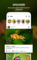 Insect identifier by Photo Cam اسکرین شاٹ 1
