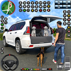 Traum Wagen Parken Emulator 3d Zeichen