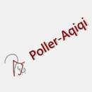 Sprachdienst Poller-Aqiqi aplikacja