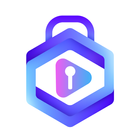 Video Lock icon