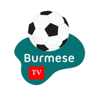 Burmese TV biểu tượng