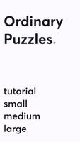 Ordinary Puzzles постер