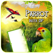 Parrot Insta DP Maker – Love B