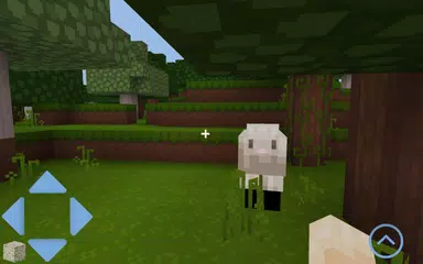 Craft World XAPK download