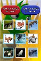 Kids Zoo - 3D Animated Animals Affiche
