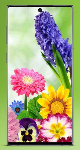 Wallpaper Bunga Cantik Offline For Android Apk Download