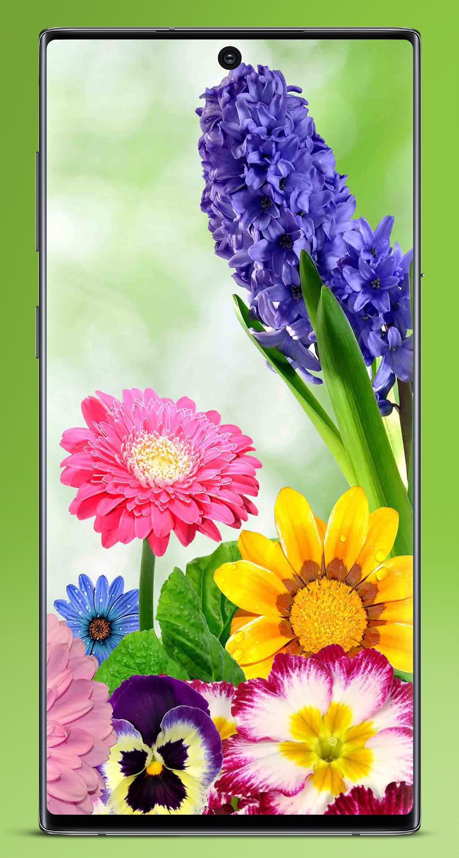 Download Wallpaper Gambar Bunga Cantik Untuk Wallpaper - WallpaperShit
