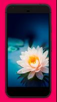 Flowers Wallpapers পোস্টার