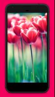 Flowers Wallpapers স্ক্রিনশট 1