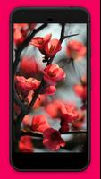 Flowers Wallpapers স্ক্রিনশট 2